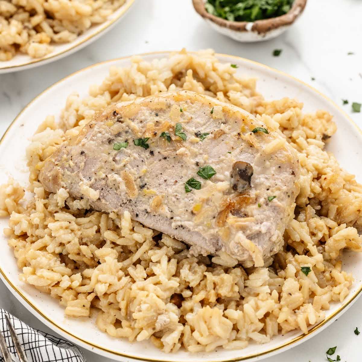 a plate of Pork Chop and Rice garnished with parsley