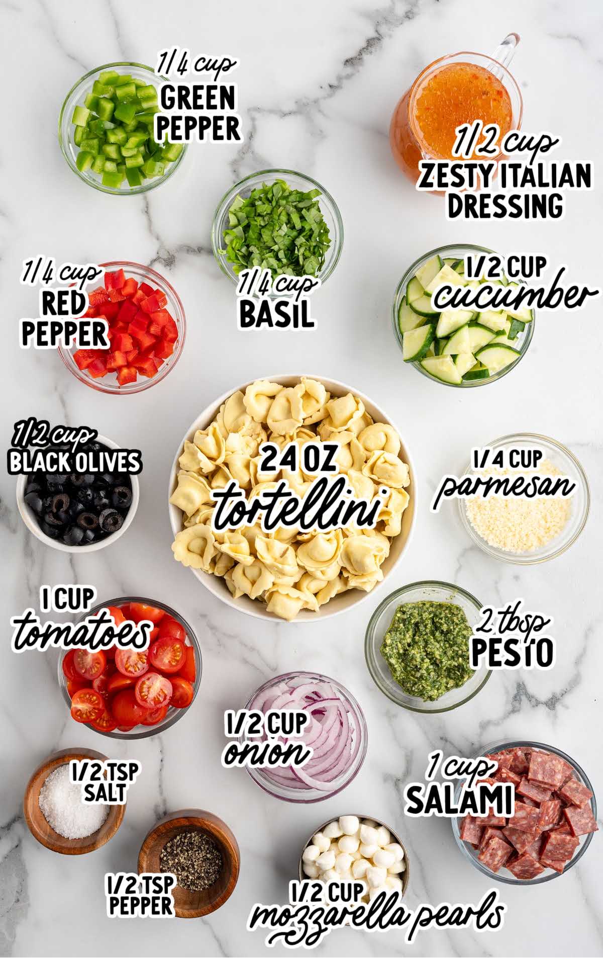 Flat lay of measured ingredients for tortellini pasta salad including tortellini, tomatoes, peppers, cucumbers, salami, mozzarella pearls, olives, basil, parmesan, pesto, and Italian dressing.