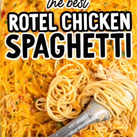 A glass baking dish filled with creamy Rotel Chicken Spaghetti, topped with melted cheese. A serving spoon twirls cheesy spaghetti. Bold text reads, โThe Best Rotel Chicken Spaghetti โ Vintage Recipe!โ.
