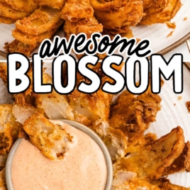 a plate of Awesome Blossom with a bowl of dipping sauce