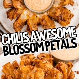 a plate of Awesome Blossom with a bowl of dipping sauce