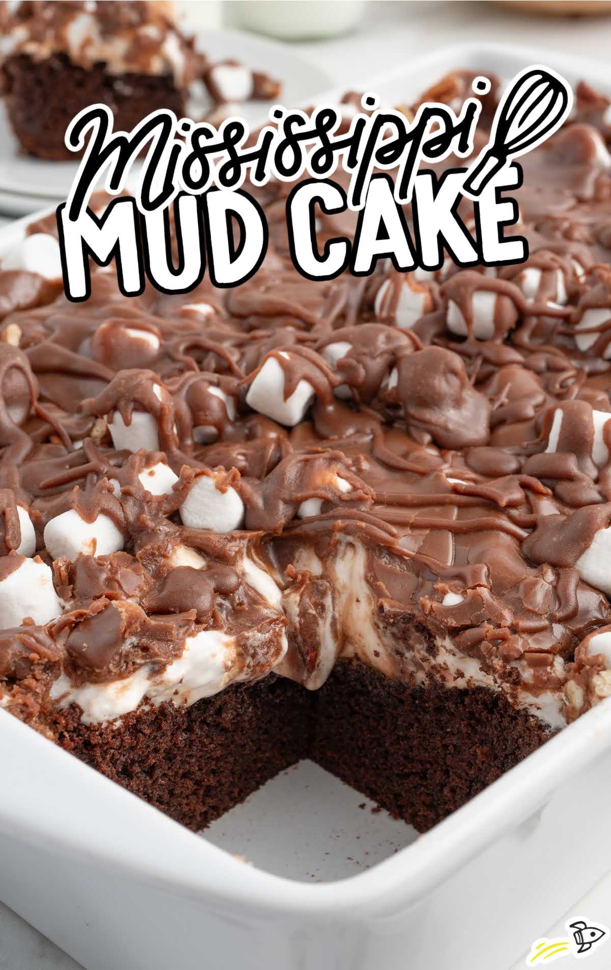 a baking dish of Mississippi Mud Cake