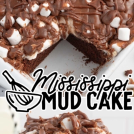 Mississippi Mud Cake in a baking dish