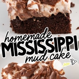 a slice of Mississippi Mud Cake on a plate