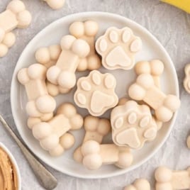 a plate of Frozen Dog Treats