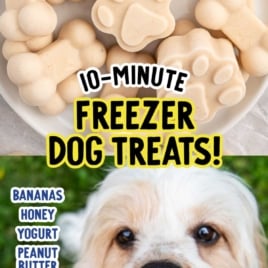 a plate of Frozen Dog Treats