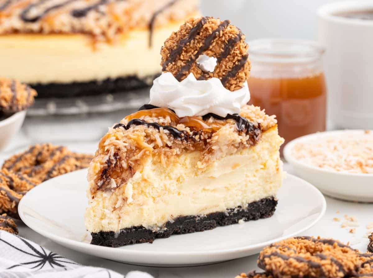 Samoa Cheesecake - Spaceships and Laser Beams