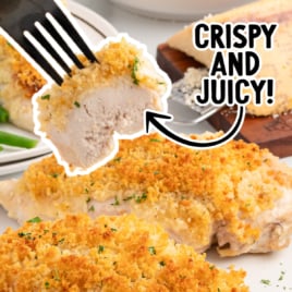 a plate of chicken with mayo and parmesan