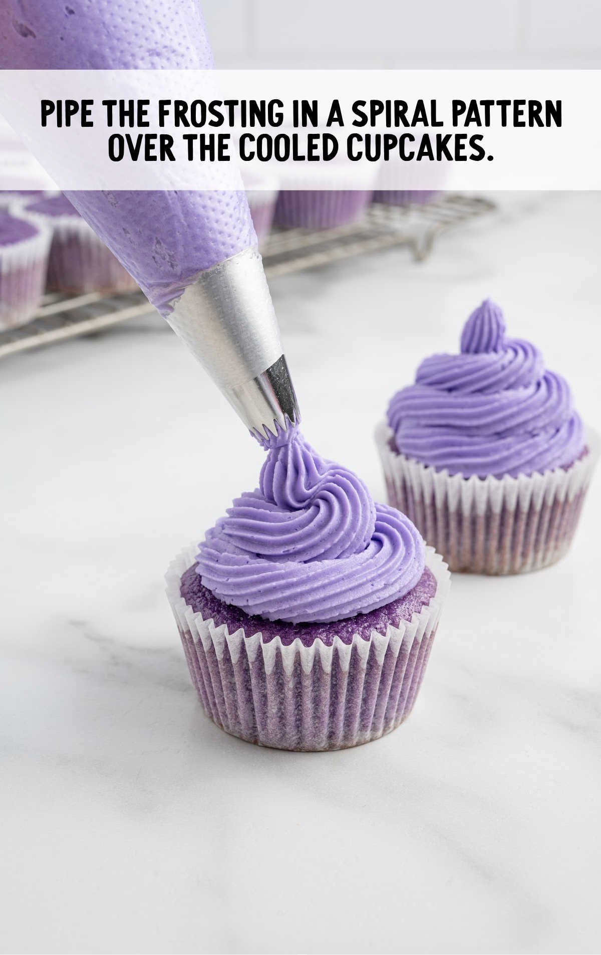 cupcakes being piped with frosting