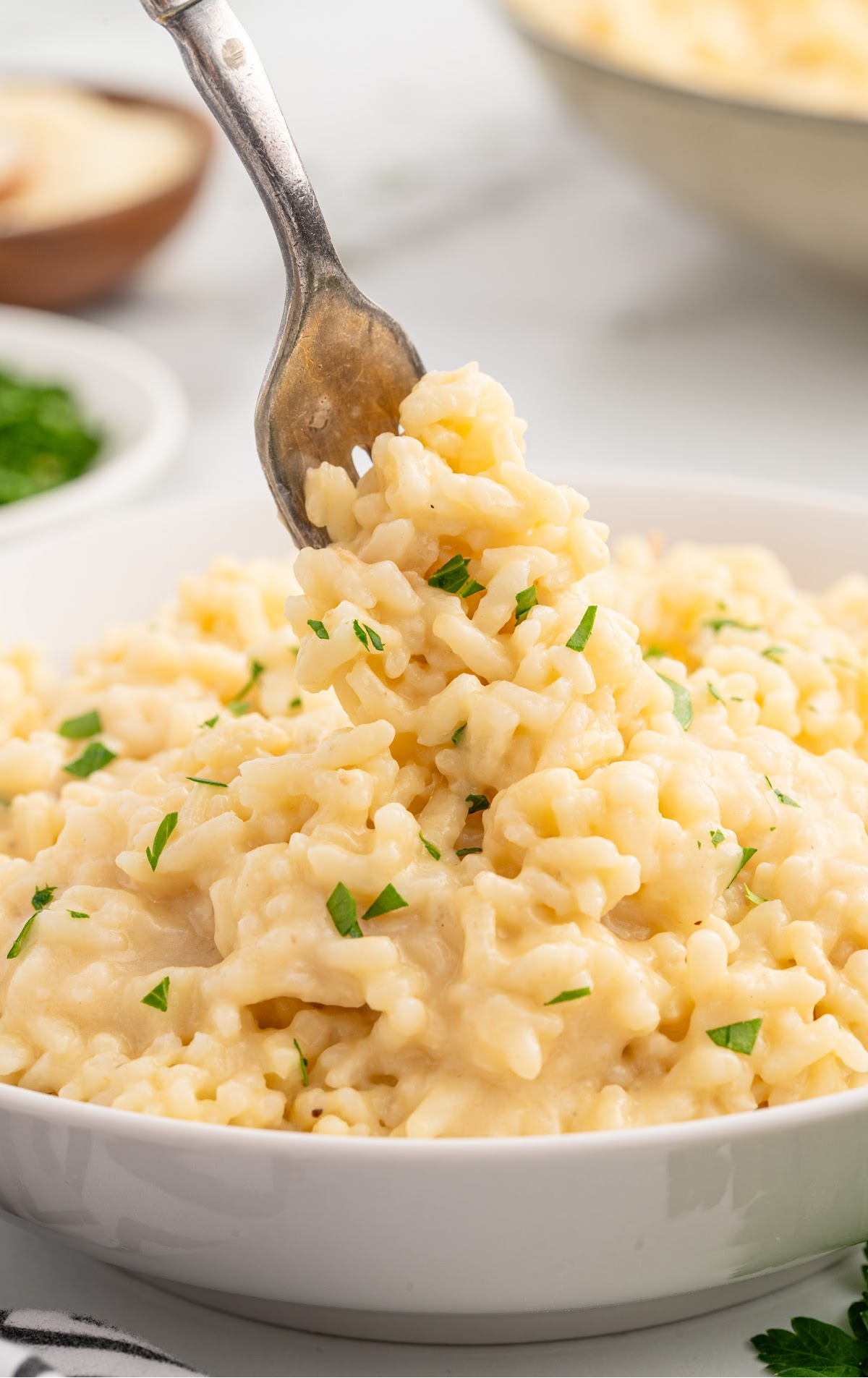 a plate of souper rice garnished with parsley