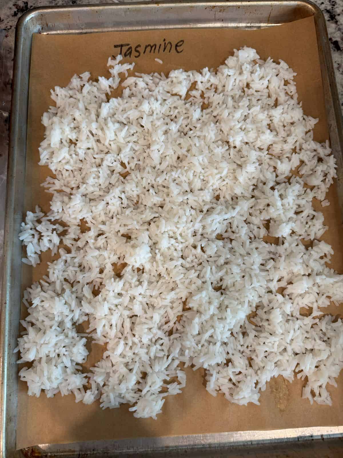 A baking sheet lined with parchment paper labeled Jasmine at the top, covered with a thin, even layer of cooked white jasmine rice spread out to coolโperfect for prepping a Better Than Take-Out Fried Rice Recipe.