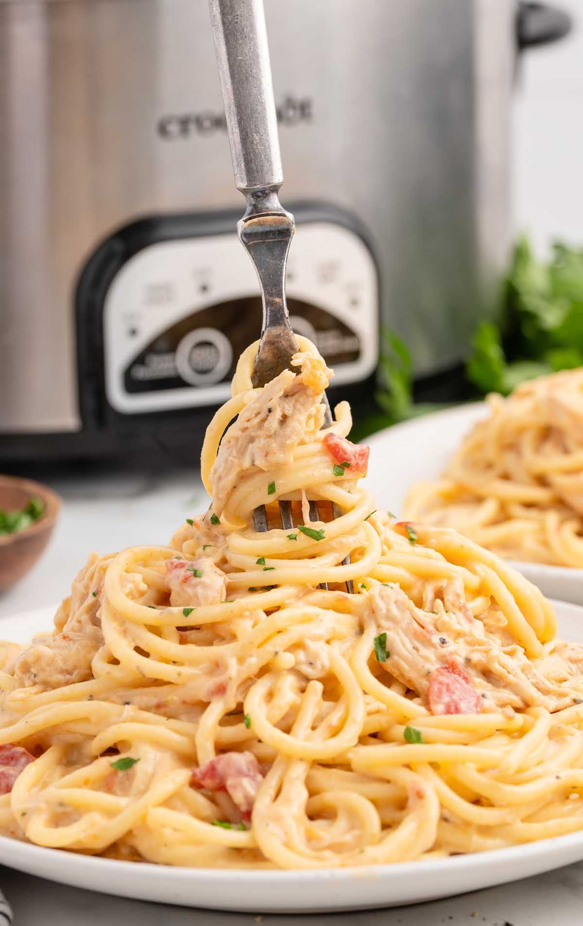 a plate of Chicken Spaghetti with a fork