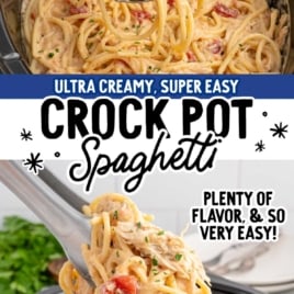 a Slow Cooker of Chicken Spaghetti