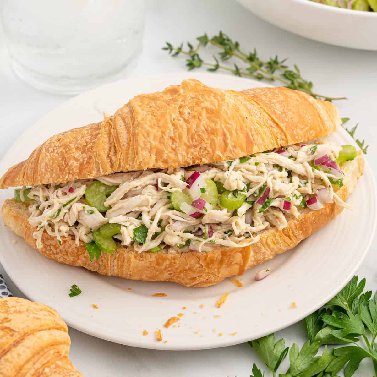 A croissant sandwich filled with shredded chicken, chopped celery, red onion, and herbs sits on a white plate with fresh parsley and herbs in the background—perfect for those seeking a flavorful chicken salad without mayo.
