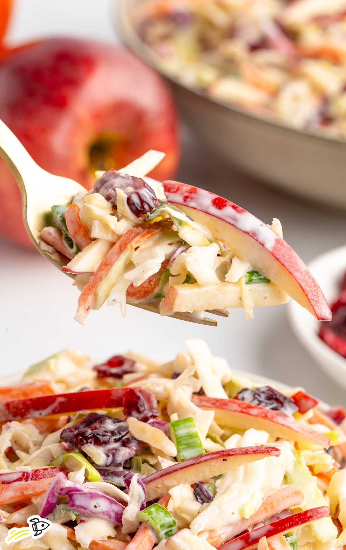 Fork lifting a bite of apple slaw showing crisp apple slices, green onions, cranberries, and creamy slaw mix in the background.