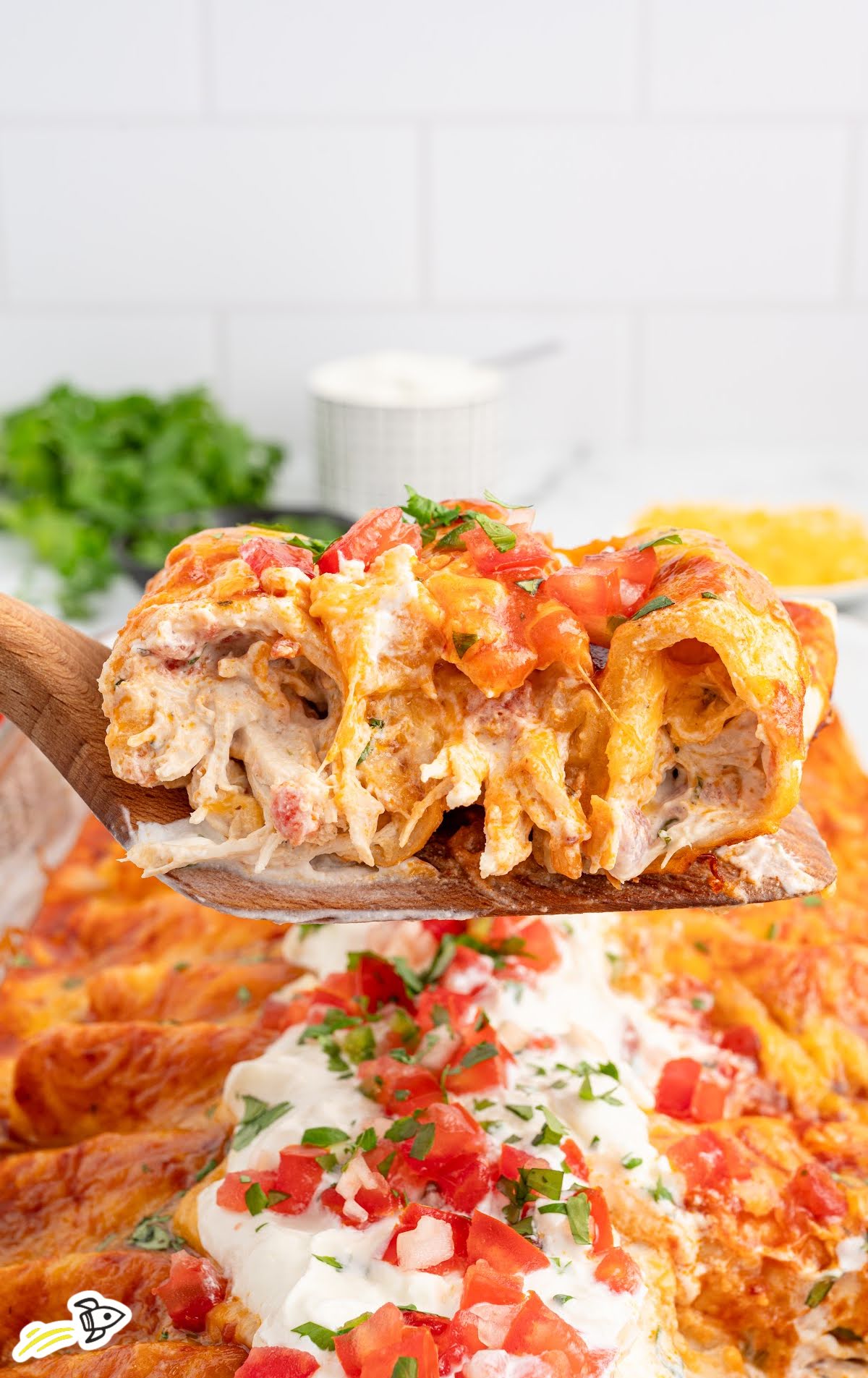 cream cheese chicken enchiladas surrounded by ingredients like shredded cheese, chopped tomatoes, and fresh cilantro, styled for a recipe card.