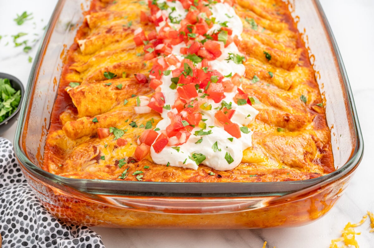 cream cheese chicken enchiladas surrounded by ingredients like shredded cheese, chopped tomatoes, and fresh cilantro, styled for a recipe card.