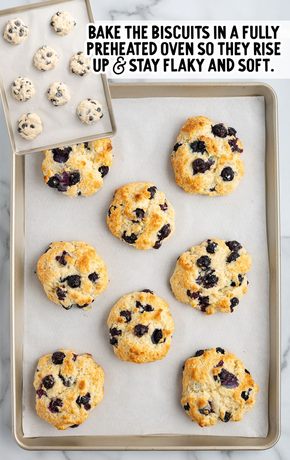 Unbaked and baked blueberry biscuits on a baking sheet lined with parchment paper, showing the rise and golden tops.