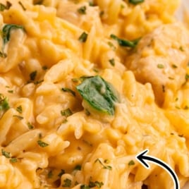 Creamy cheesy chicken orzo with spinach with text overlay “Ultra Cheesy Chicken Orzo cheesy family dinner recipe”