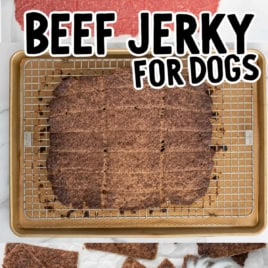 Three steps: raw ground meat scored into squares, cooked jerky on a baking rack, and finished Beef Jerky for Dogs pieces beside a small dog holding a piece in its mouth. Text: Beef Jerky For Dogs.