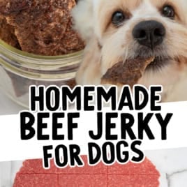 A jar of homemade beef jerky for dogs, a small dog looking up eagerly, and a sheet of raw beef cut into squares. Text: Homemade Beef Jerky for Dogs.