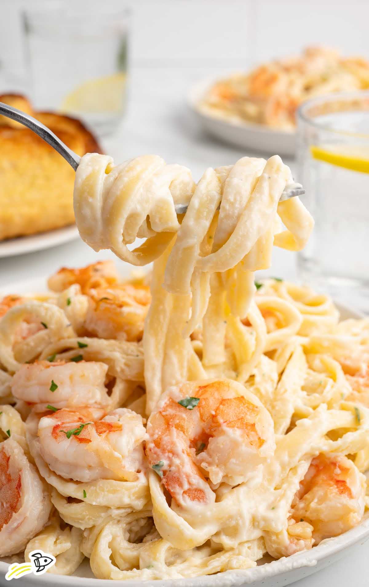 Close-up of shrimp alfredo pasta with fettuccine coated in creamy alfredo sauce