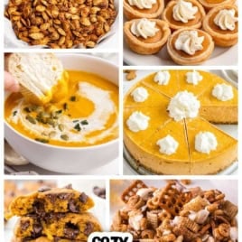 A collage featuring pumpkin dishes: roasted seeds, mini pies, soup, a cheesecake, pumpkin bars, snack mix, traditional pie, and a pumpkin oatmeal cookie—with text reading 45+ Pumpkin Recipes & Desserts—showcases some of the best pumpkin recipes and pumpkin desserts perfect for every occasion.